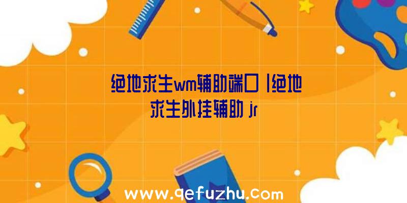 「绝地求生wm辅助端口」|绝地求生外挂辅助